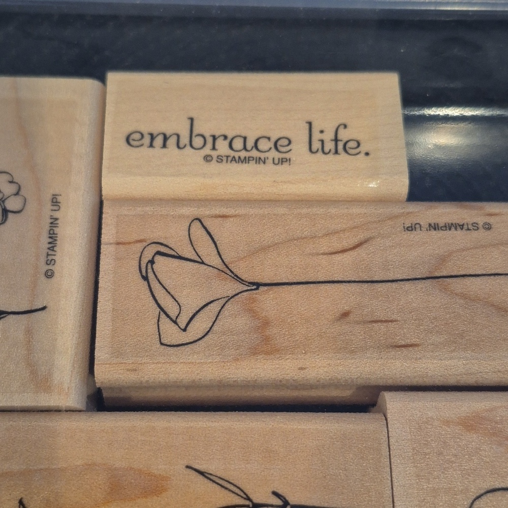 STAMPIN' UP! Retired 2008 'Embrace Life' Stamp Set, Set of 5 Stamps - Picture 4 of 8